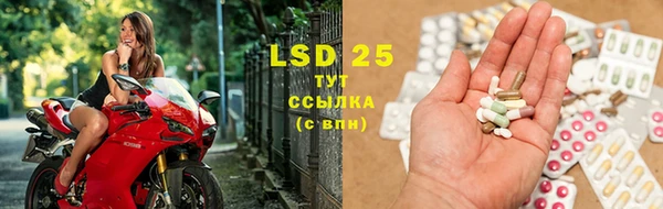 PSILOCYBIN Балабаново