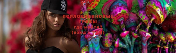 стаф Балахна