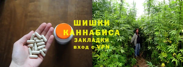 PSILOCYBIN Балабаново
