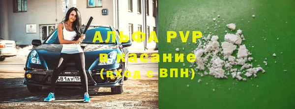 стаф Балахна