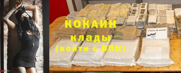 стаф Балахна